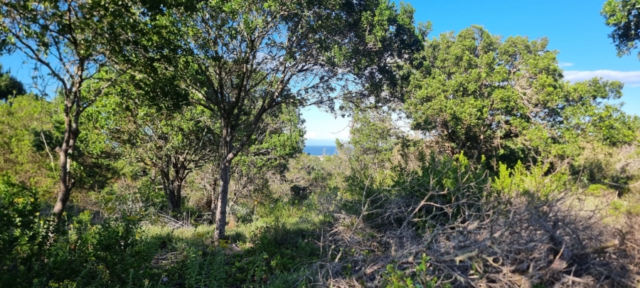 Commercial Property for Sale in Langvlei Dunes Western Cape